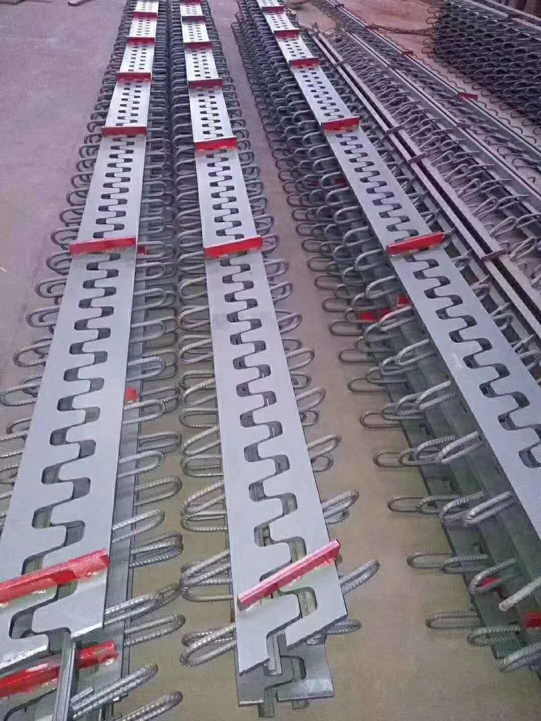 梳齒板猫咪视频成人.jpg