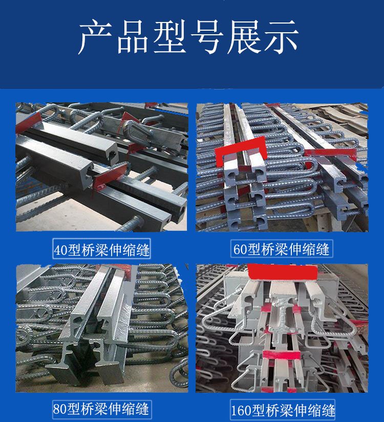 橋梁猫咪视频成人類型.jpg