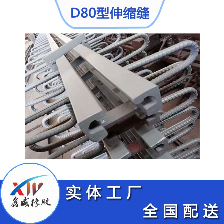 d80型猫咪视频成人