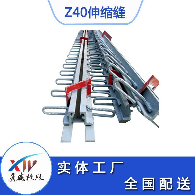 z40型橋梁猫咪视频成人